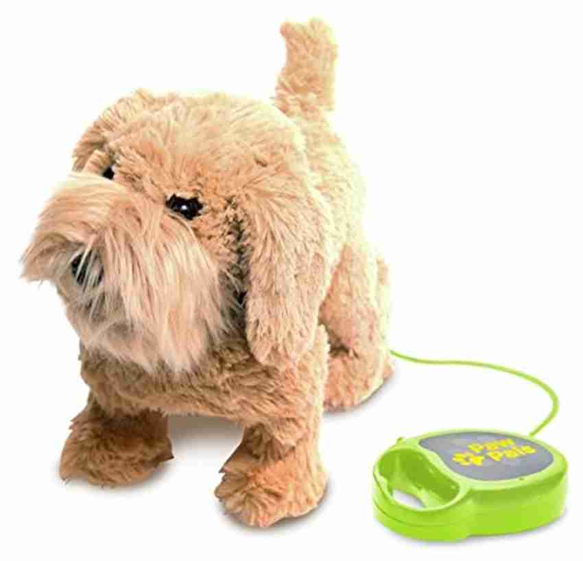 Walking dog deals on leash toy