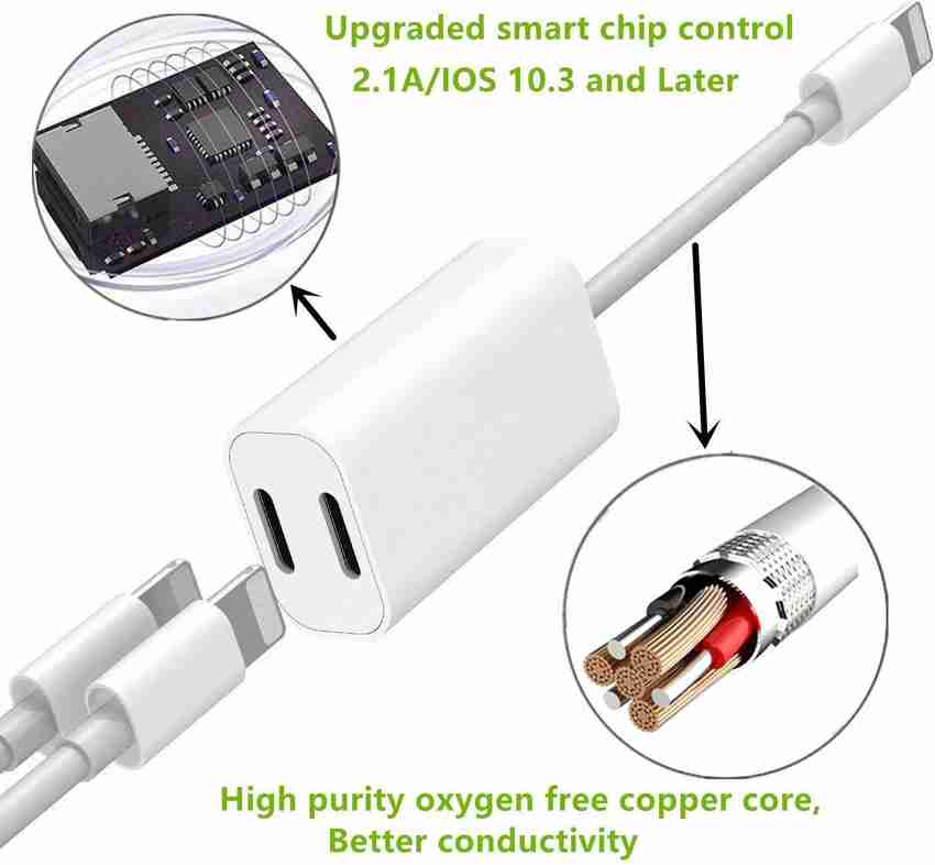 Ipad dual hotsell lightning adapter