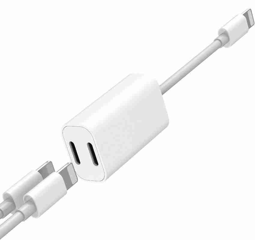 Ipad dual lightning sale adapter