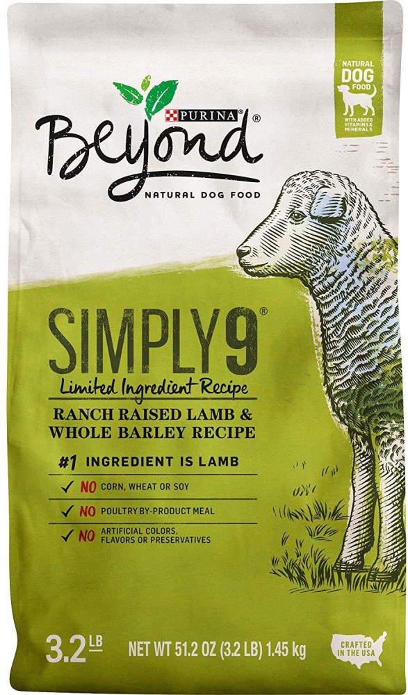 Purina beyond best sale lamb dog food