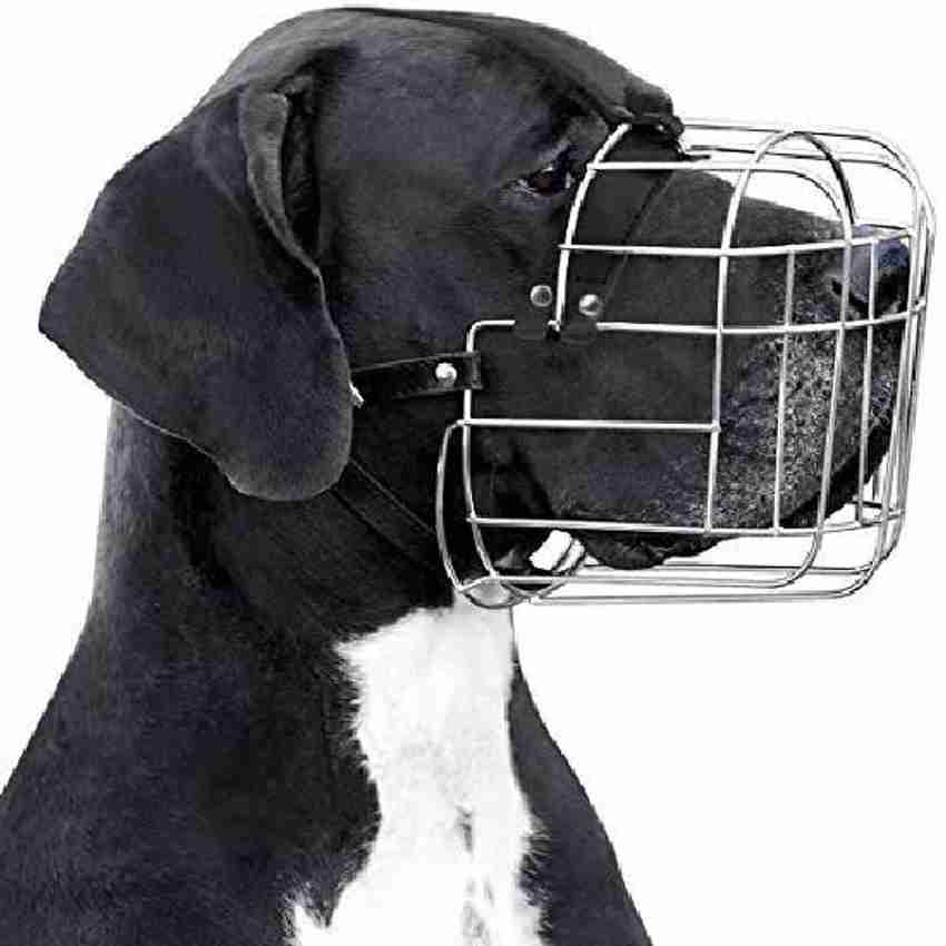 Muzzle dog in crate discount