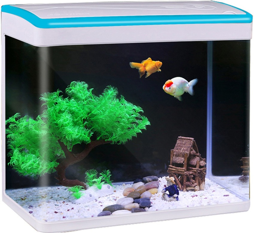 Jainsons Pet Products MJ M360 BLUE COMBO Rectangle Aquarium Tank
