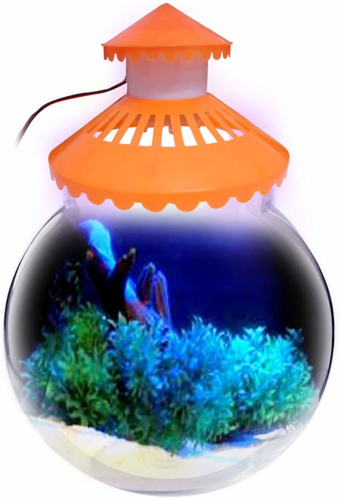 Jainsons Pet Products Zig Zag Neck Glass Bowl with Top Cover Led and Lotus  Elliptical Aquarium Tank Price in India - Buy Jainsons Pet Products Zig Zag  Neck Glass Bowl with Top