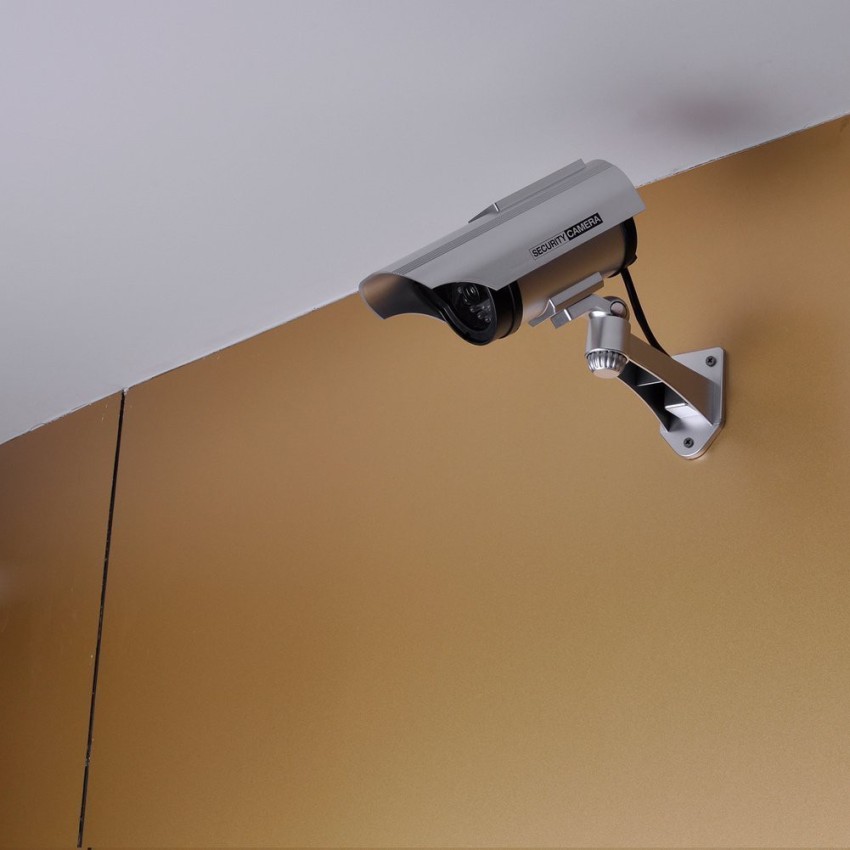 Realistic dummy best sale cctv cameras