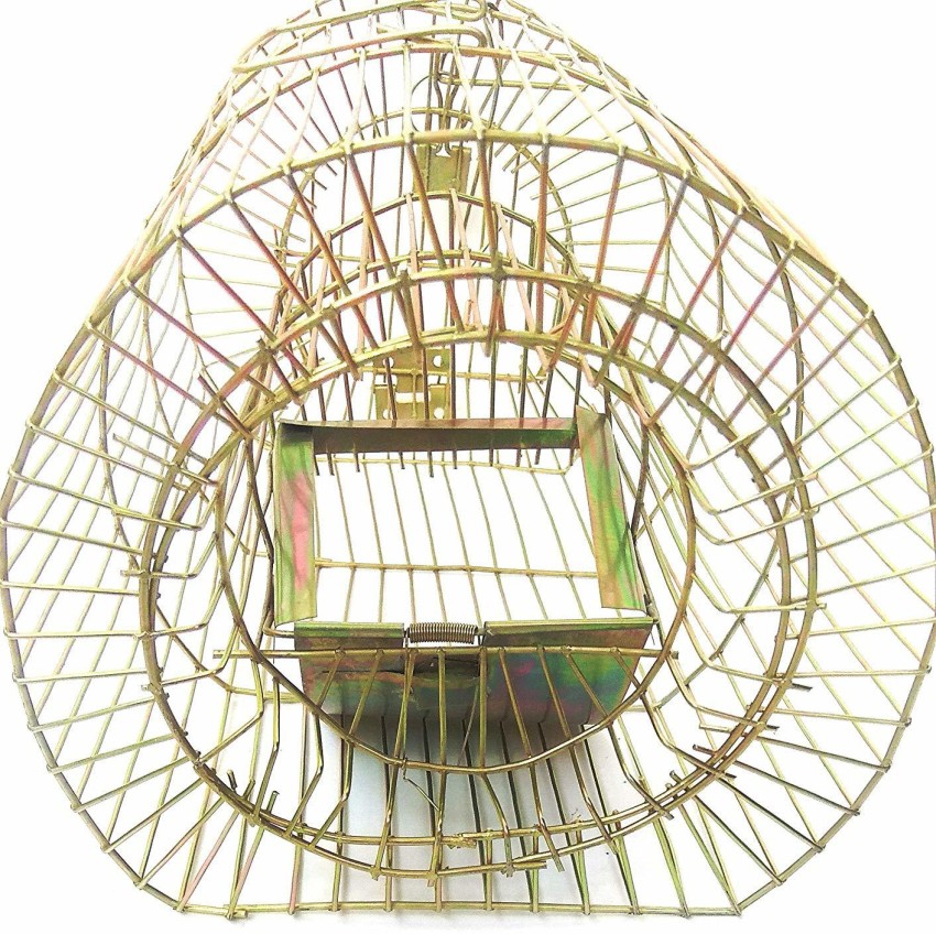 MITHO Mouse Trapper, Rat Catcher, Rat Cage Trap, Big Rat Live Trap Price in  India - Buy MITHO Mouse Trapper, Rat Catcher, Rat Cage Trap, Big Rat Live  Trap online at