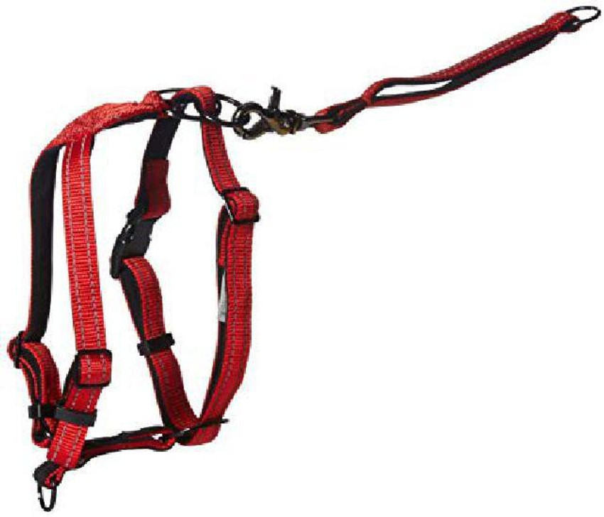 Sporn 2025 dog leashes