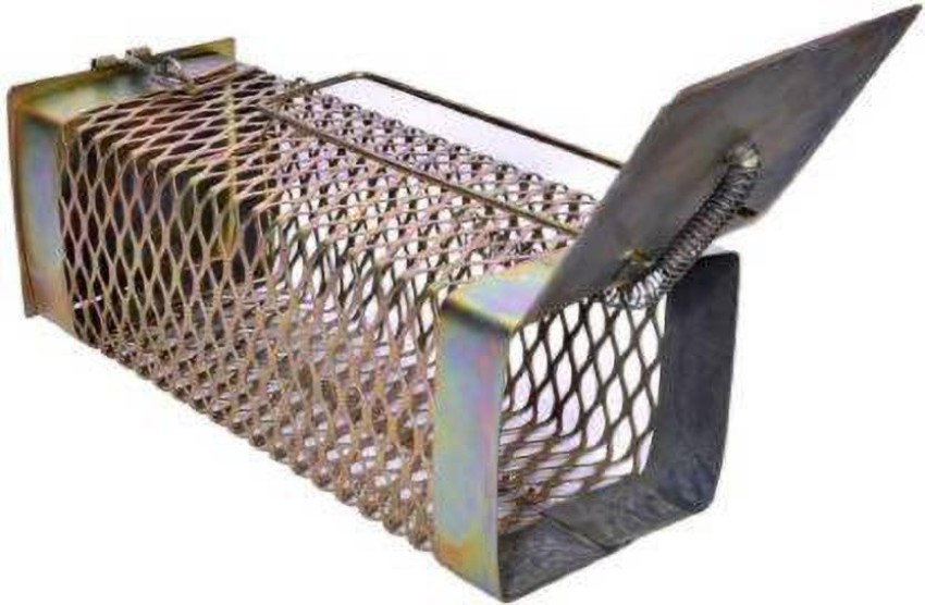 MITHO Wire Big Size Iron Rat/ Mouse Trap/Cage One Way Entrance, Silver  Colour010 Live Trap Price in India - Buy MITHO Wire Big Size Iron Rat/ Mouse  Trap/Cage One Way Entrance, Silver