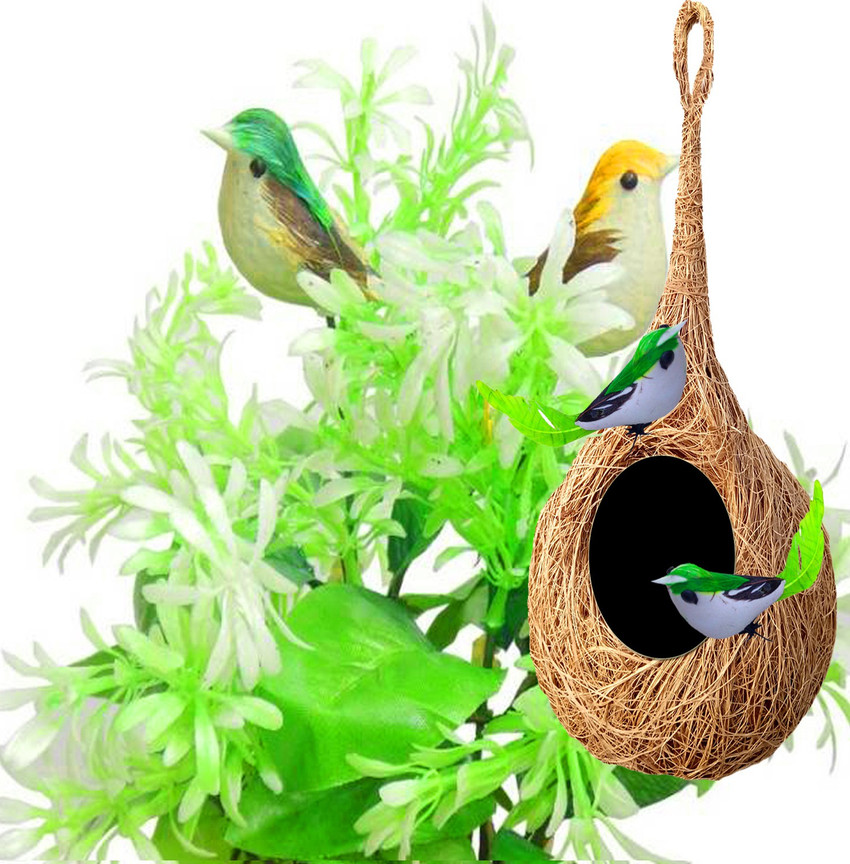 Bird clearance nest online