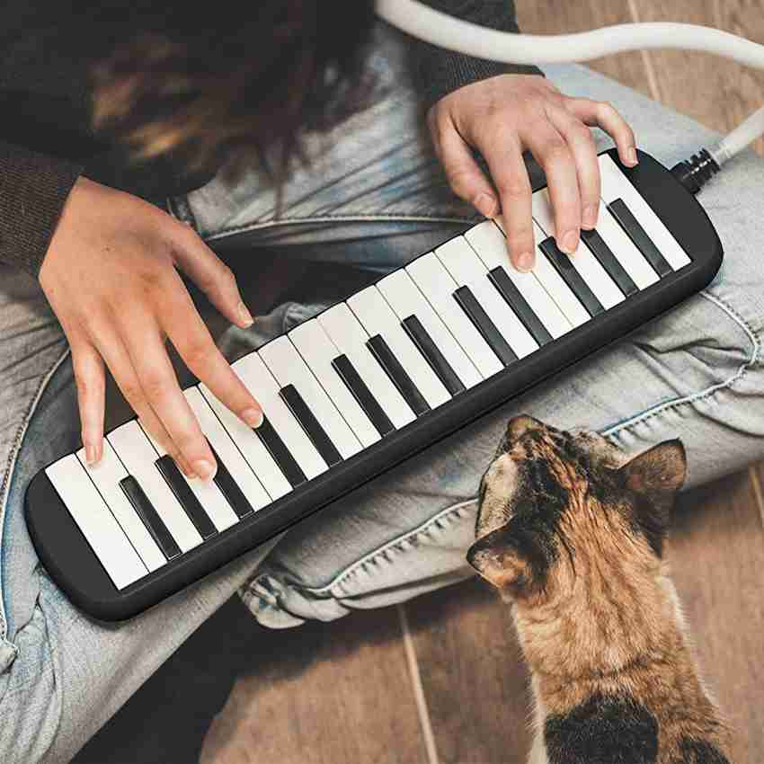 Instrument keyboard 2025 you blow into