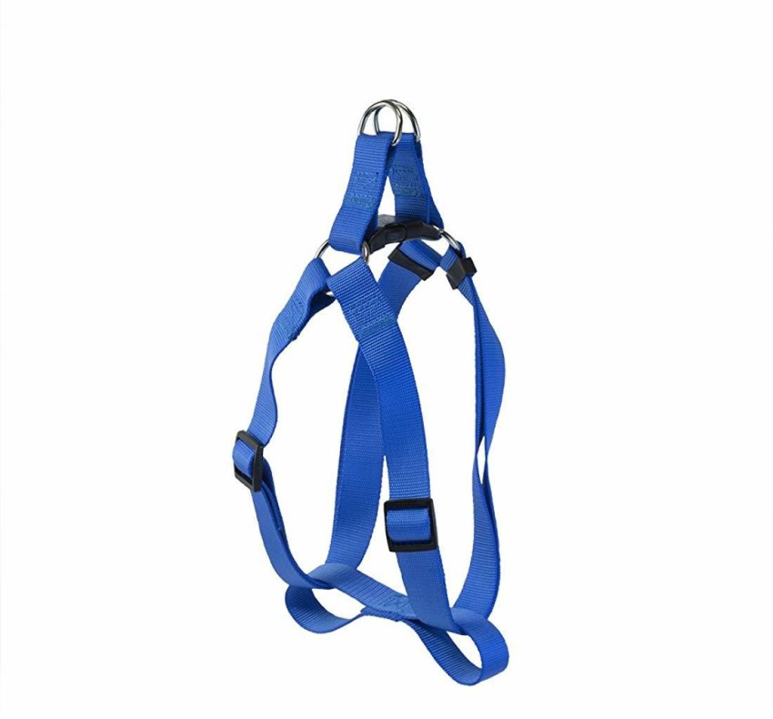 Pet deals champion harness