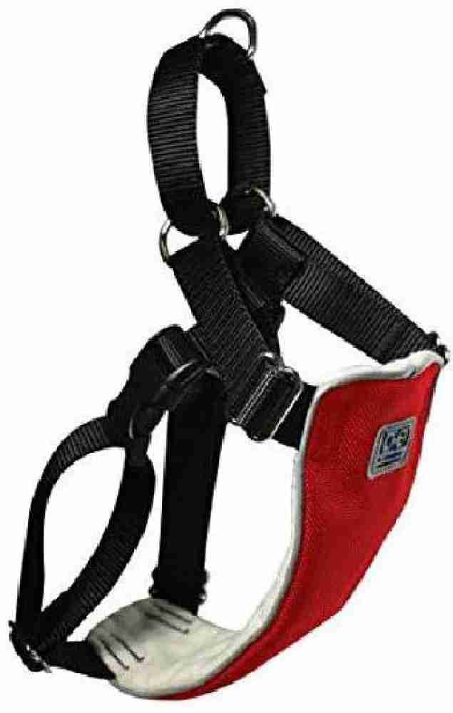 Canine best sale equipment leash