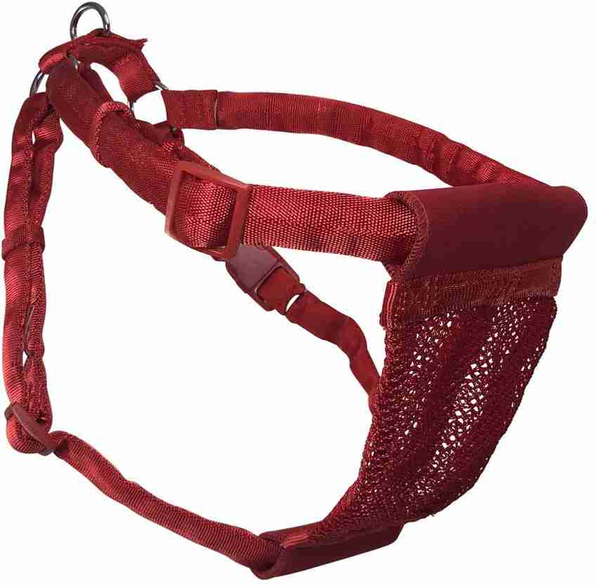 Sporn dog collar sales