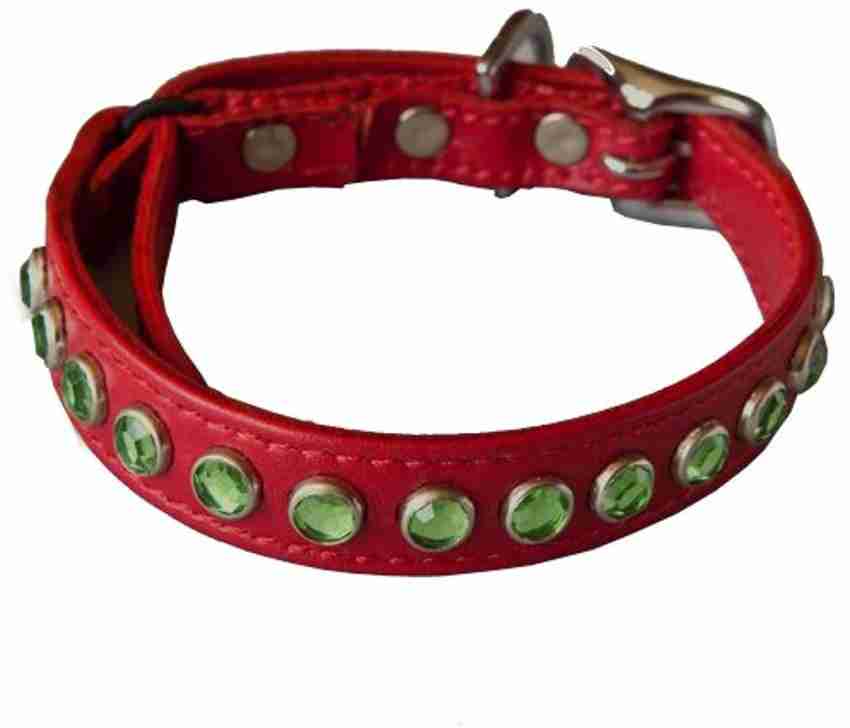 Planet 2024 dog collar