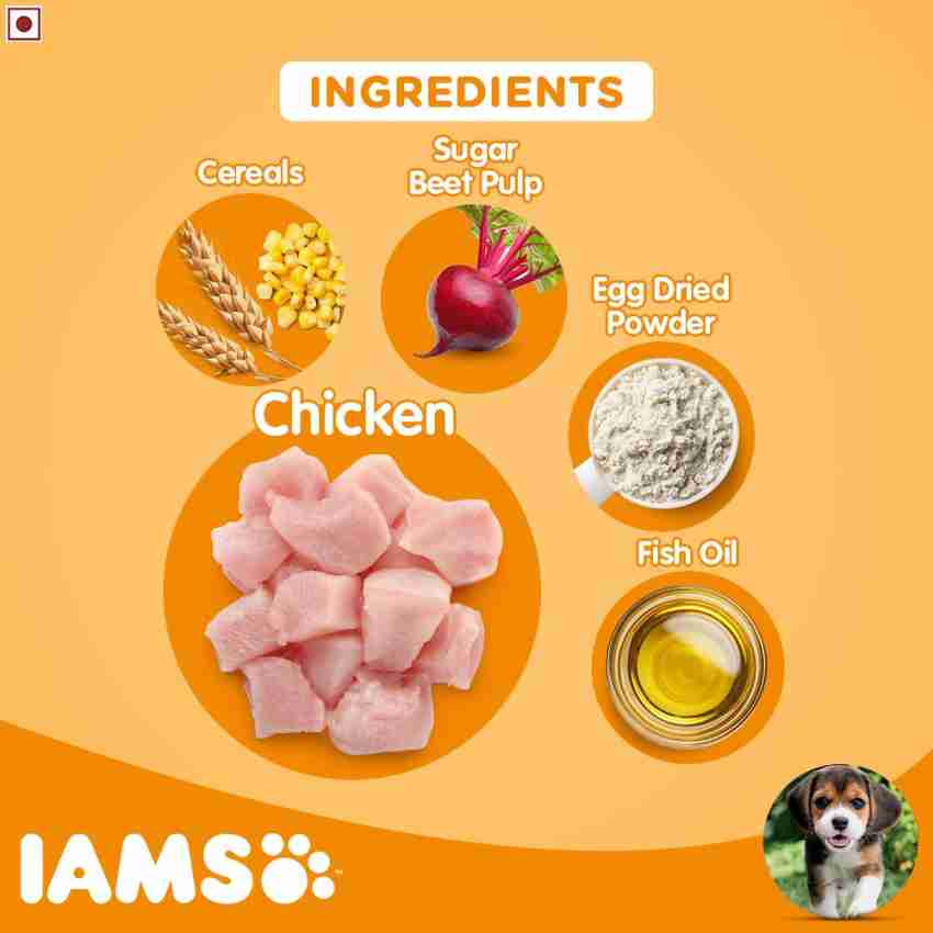 Iams delicacies best sale