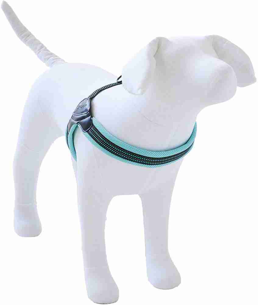 20 Cool Dog Collars - Best Useful and Stylish Dog Collars