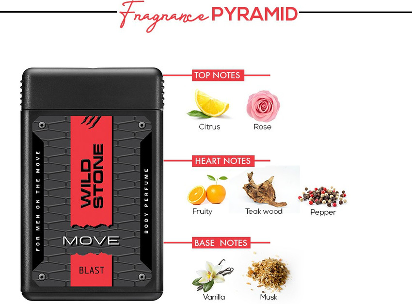 Wild stone move best sale charge