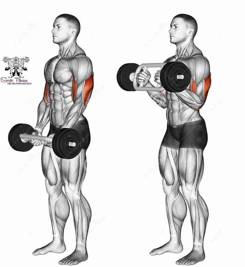 Triceps workout with rod 2025