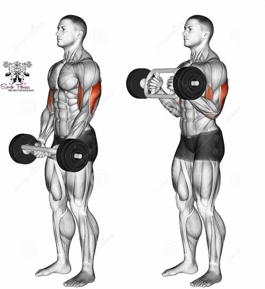 Triceps exercise sales with rod