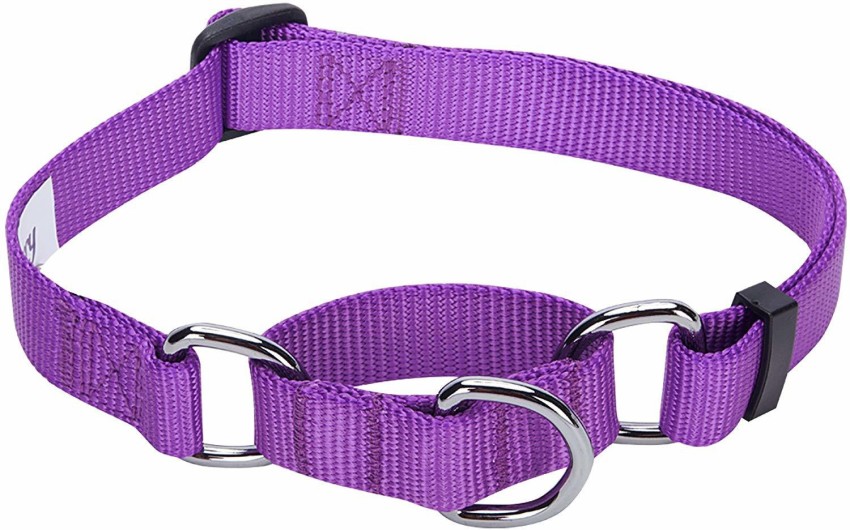 Blueberry pet dog clearance collar