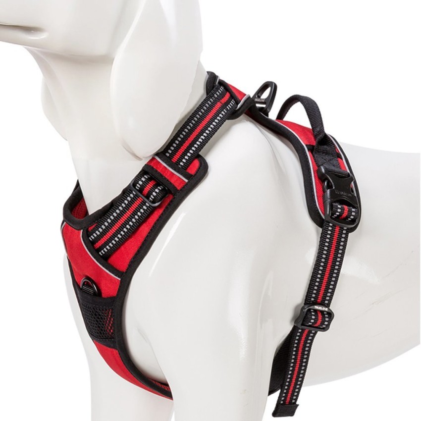 Sgoda 2025 dog harness