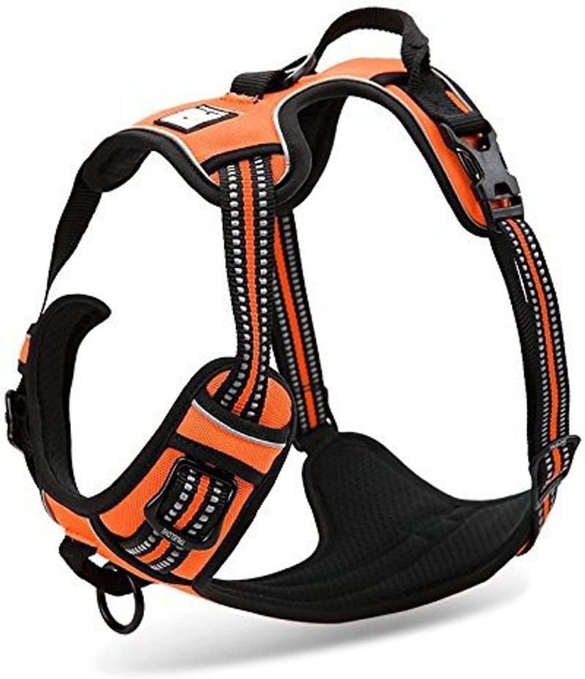 Chai s Choice Dog Collar Leash Price in India Buy Chai s Choice Dog Collar Leash online at Flipkart