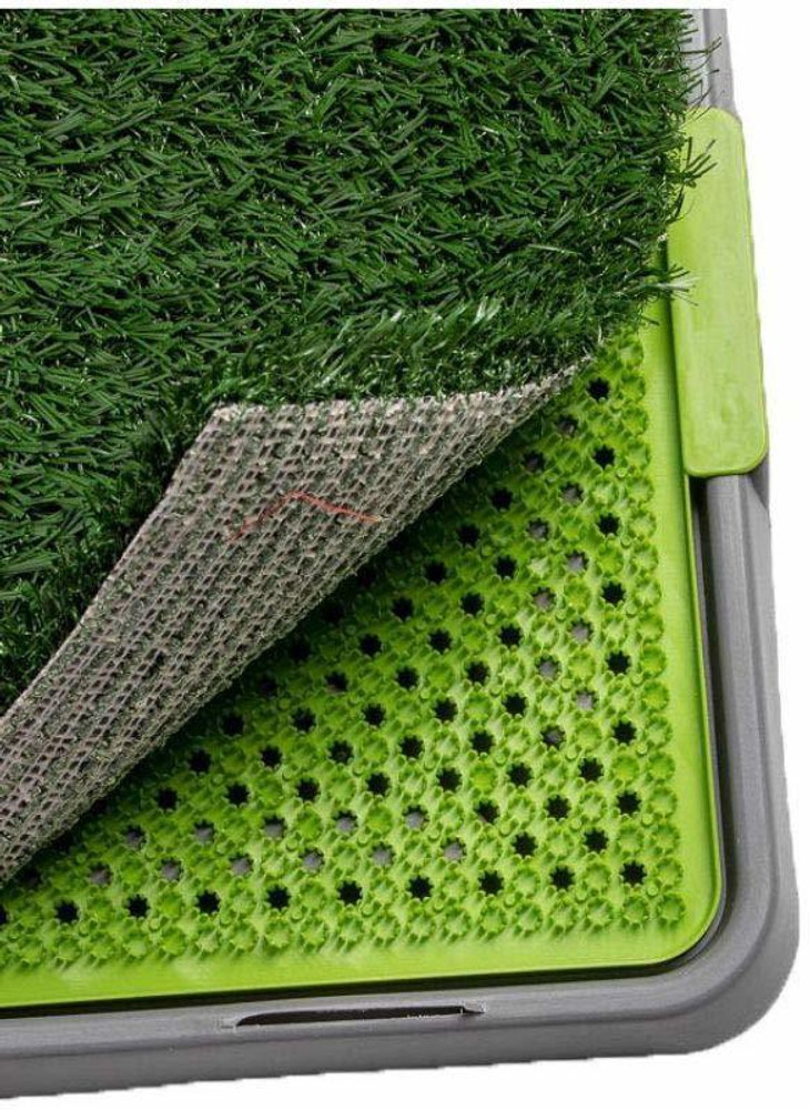 Grass potty patch new arrivals