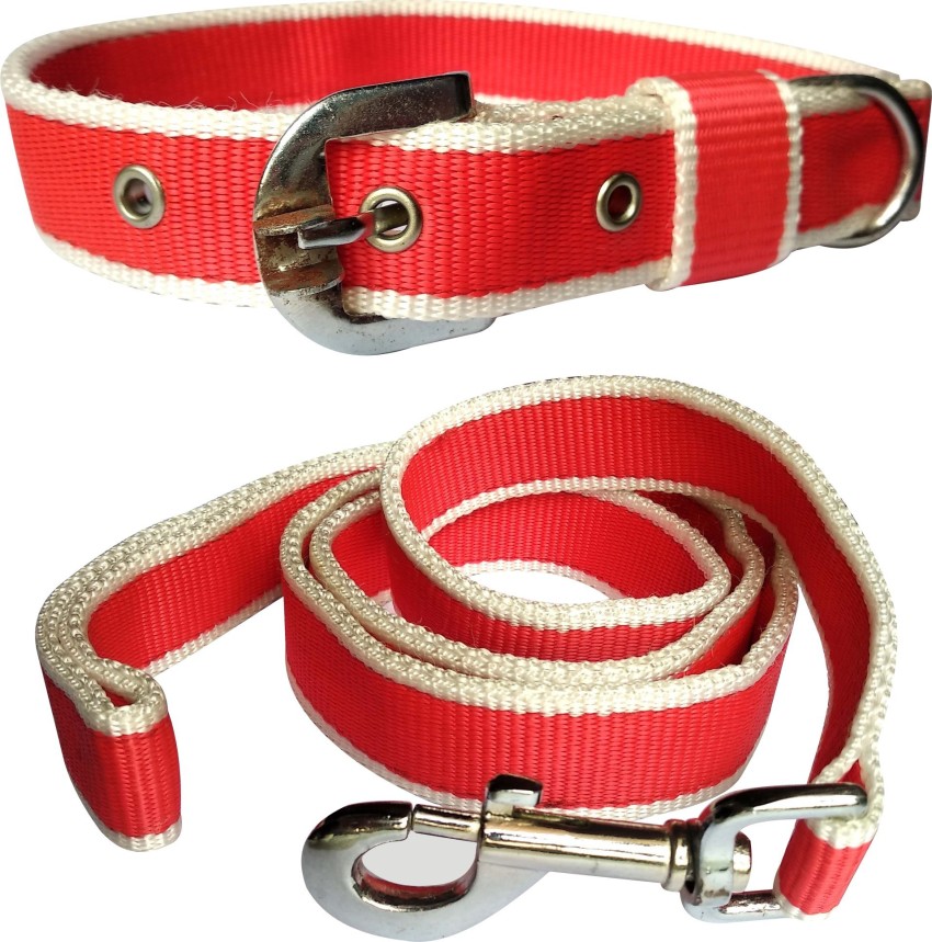 Dog belt online clearance flipkart