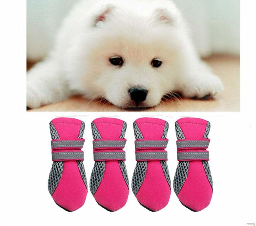 Dog breed slippers shop