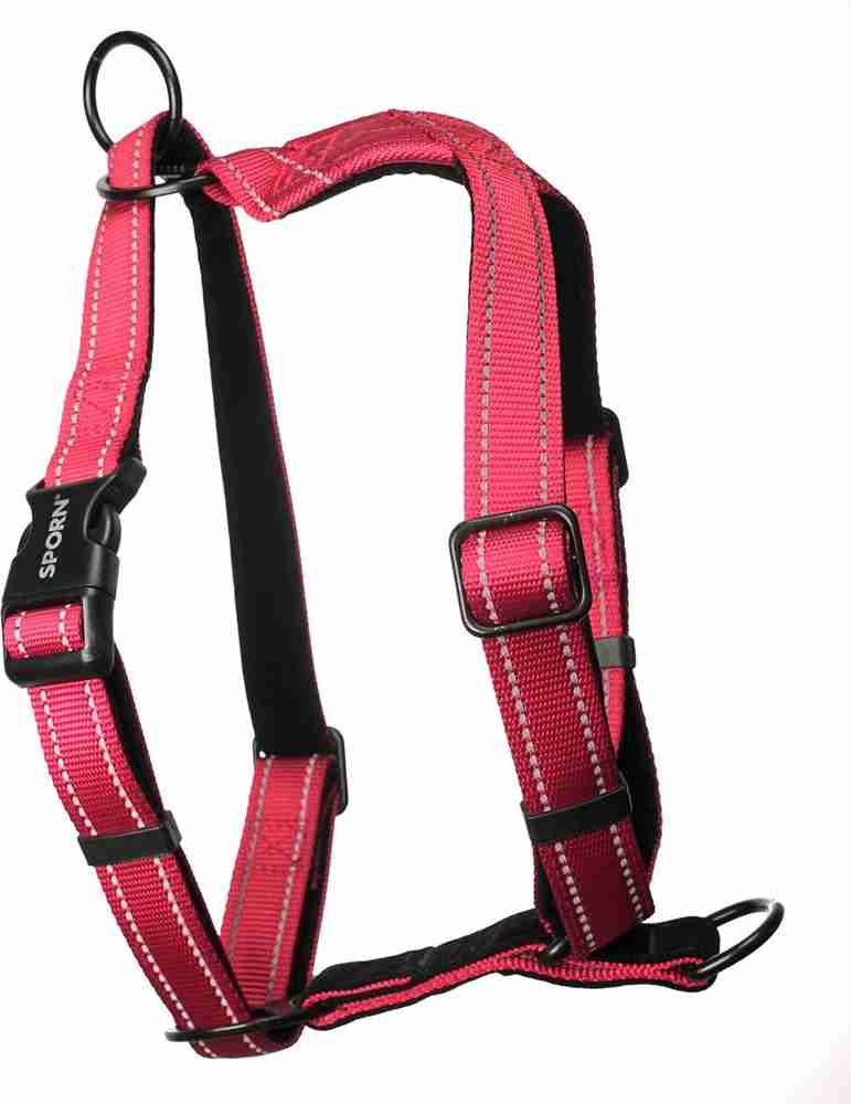 Sporn leash discount