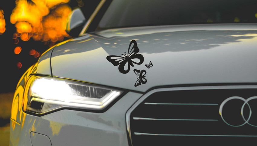 SUDARSHAN STICKER 20 cm Butterfly B Sides Windows Bumper Hood
