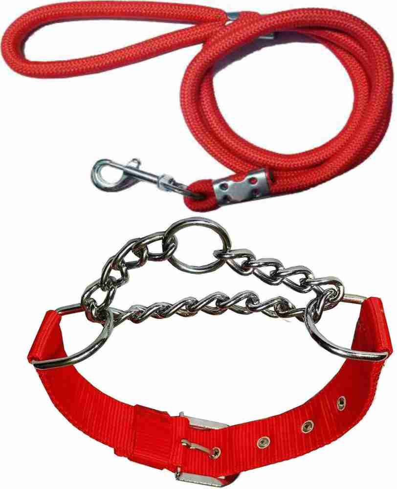 Nylon dog hotsell choke collar