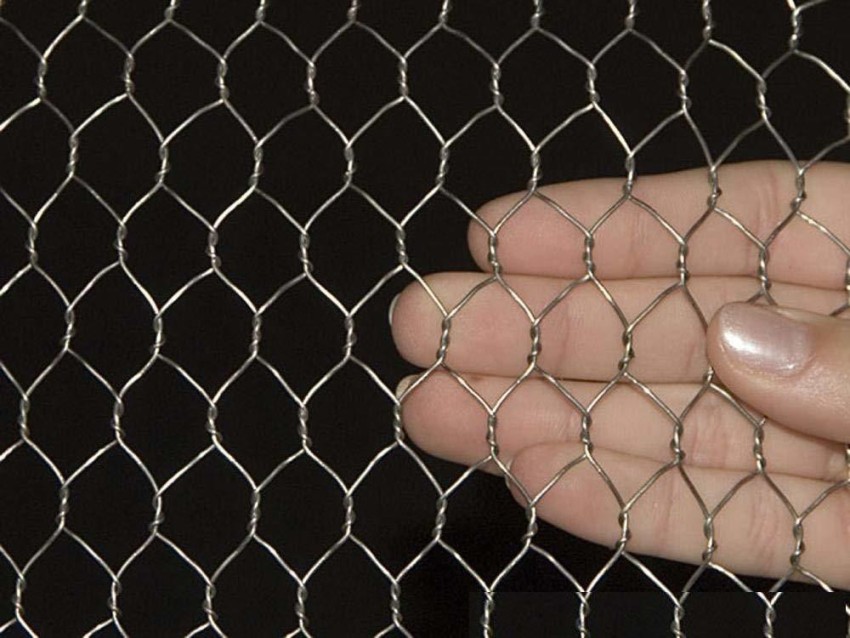 Dhavesai Chicken Poultry Wire Garden Fencing Iron net Pet Fence