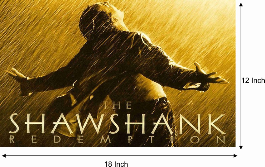 The Shawshank Redemption Movies Film Stills Andy Dufresne Tim Robbins Actor  Rain Stephen King Wallpaper  Resolution1920x1080  ID1376022  wallhacom