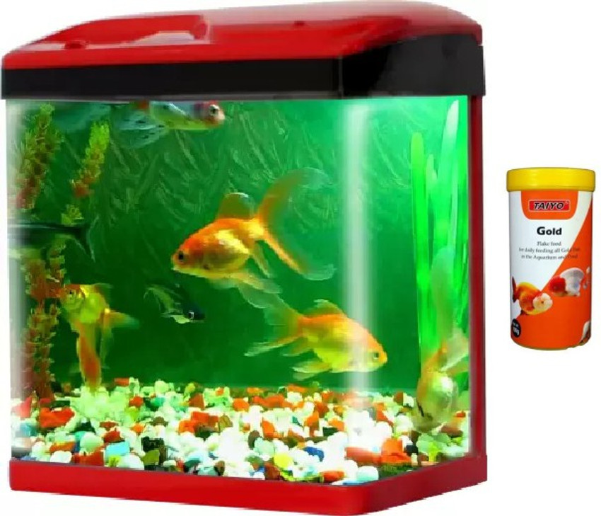 Jainsons Pet Products Fish Aquarium Tank 15 L Combo Round Ends Aquarium Tank Price in India Buy Jainsons Pet Products Fish Aquarium Tank 15 L Combo Round Ends Aquarium Tank online
