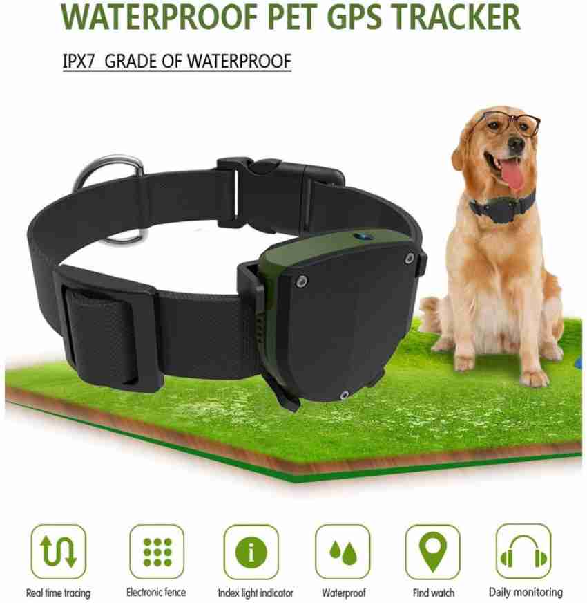 Gps tracker outlet for dogs