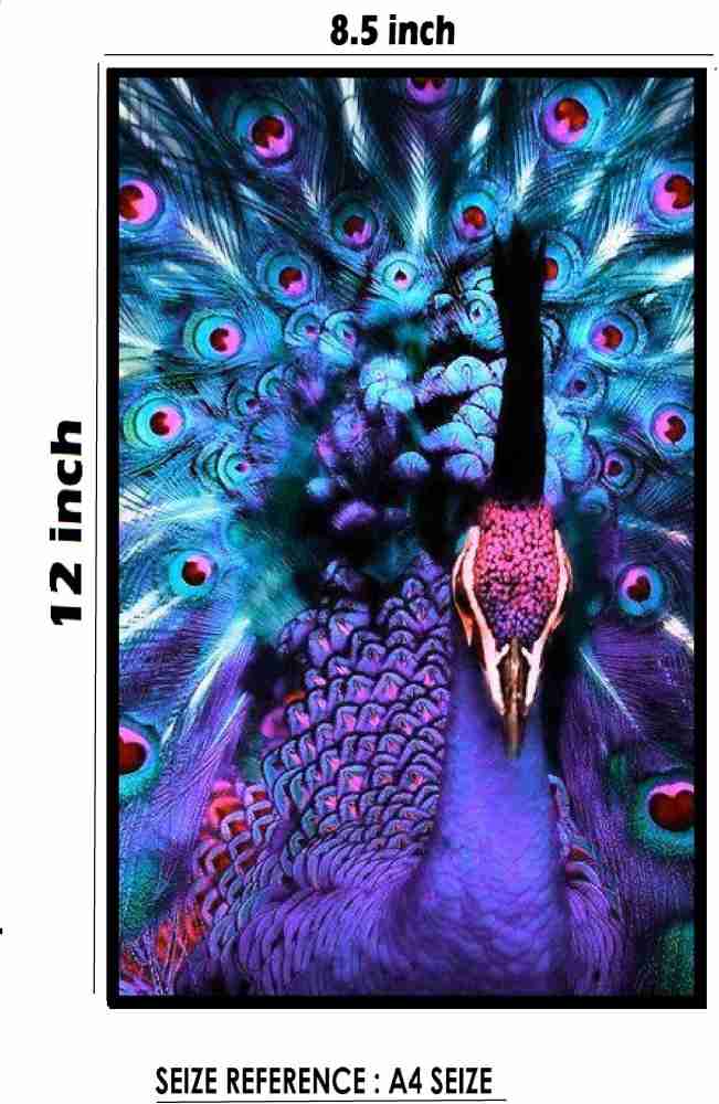 Artskills 12 inch x 16 inch Paint by Number Art Kit, Peacock