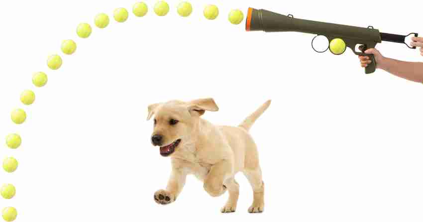 Dog sales fetch gun