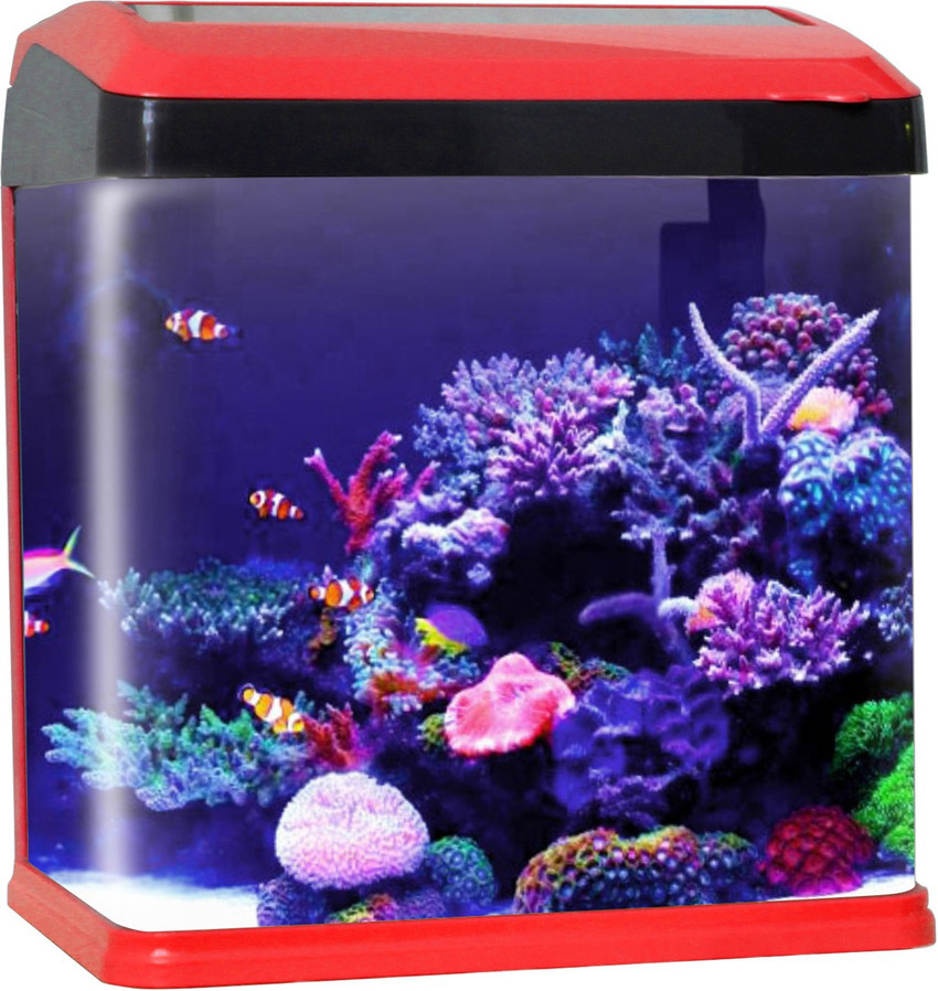 Fish tank online best sale flipkart