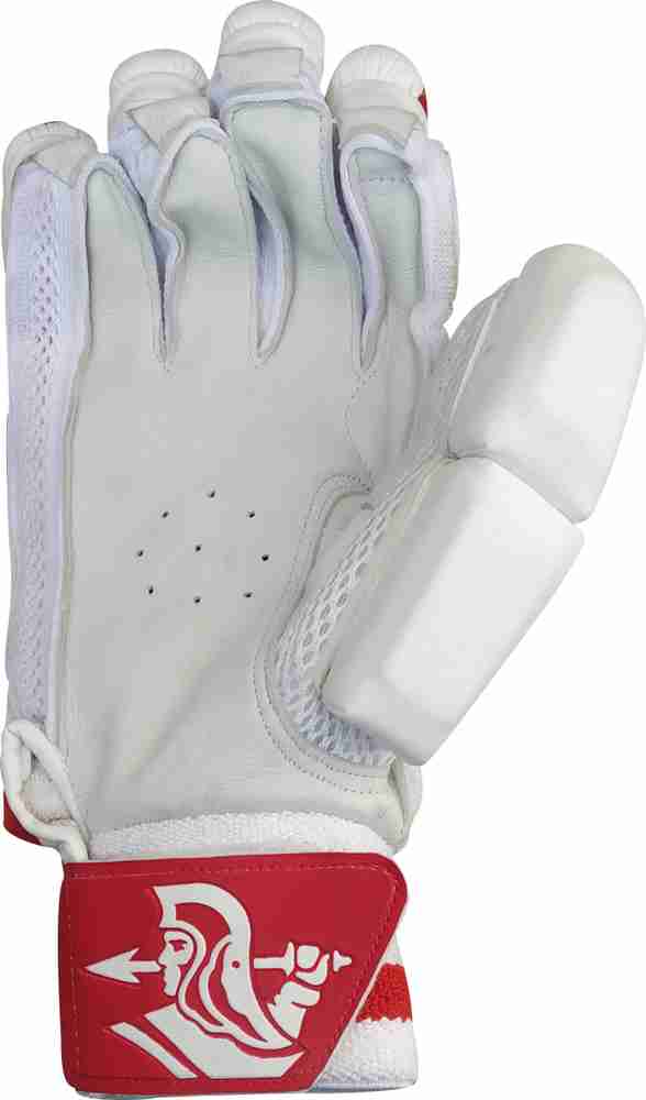 David warner shop batting gloves
