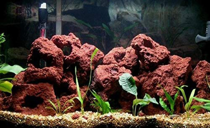 Lava outlet rock aquarium
