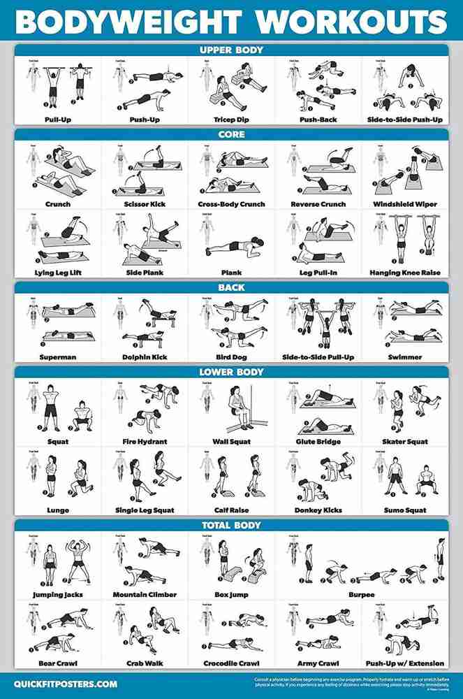 Bodyweight Exercise Poster Gym workout Paper Print Educational posters in India Buy art film design movie music nature and educational paintings wallpapers at Flipkart