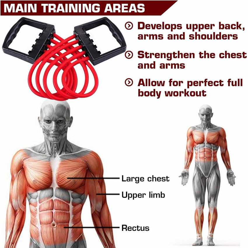 Expander for hotsell exercise