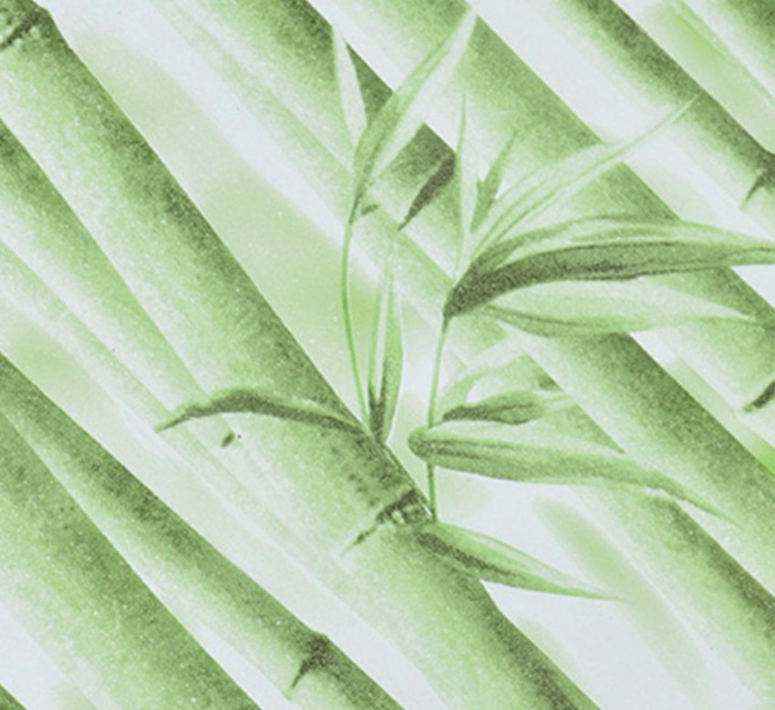 Flipkart SmartBuy 100 cm Green bamboo tree Wallpaper(100CM X45CM) Self  Adhesive Sticker Price in India - Buy Flipkart SmartBuy 100 cm Green bamboo  tree Wallpaper(100CM X45CM) Self Adhesive Sticker online at