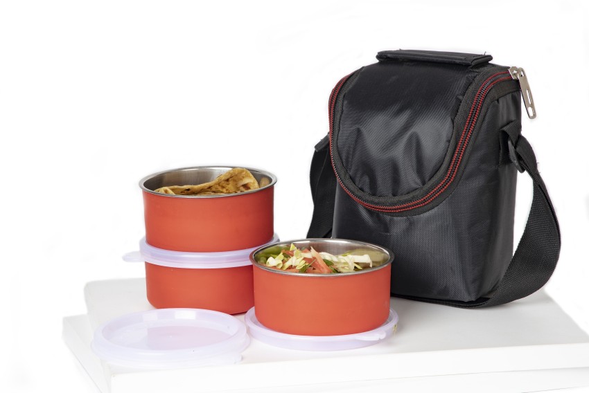 Buy Prabha Signature S4 Double Wall Stainless Steel Double Wall Insulated  AirTight 3 Containers Lunch Box With Bag Spoon 500 ML Water Bottle  Fork Plate Online at Best Prices in India  JioMart