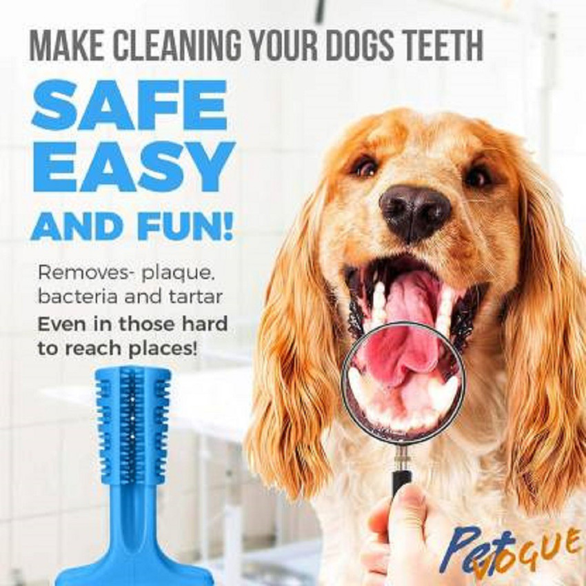 Dog stick toothbrush sale