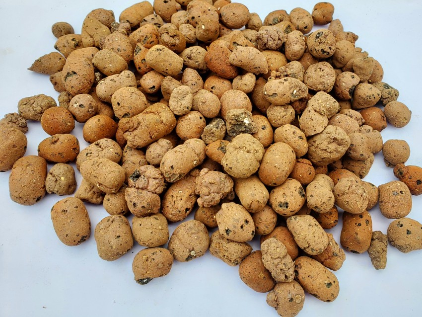 cultivo Clay Pebbles 3 Kg Regular Round Rock Pebbles Price in