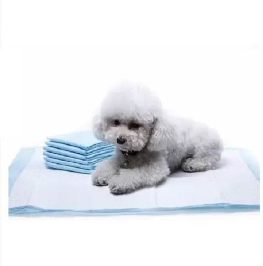 B and outlet m puppy pads