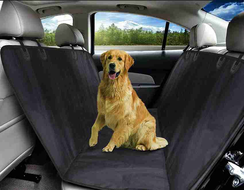 Car cover 2025 for dogs