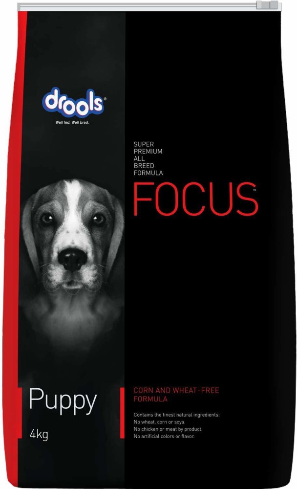 Pedigree focus sale