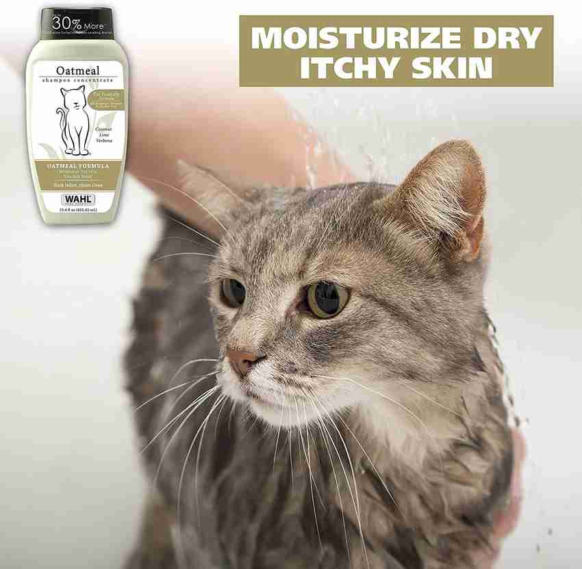 Wahl cat shampoo shop